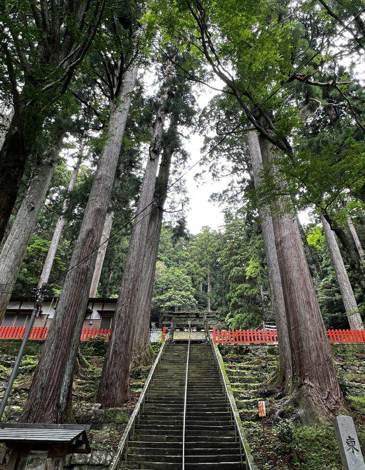 鳳来山東照宮参道